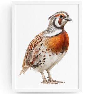 Watercolor Quail Wall Art Print, Unframed - Vibrant Nature-Inspired Home Decor